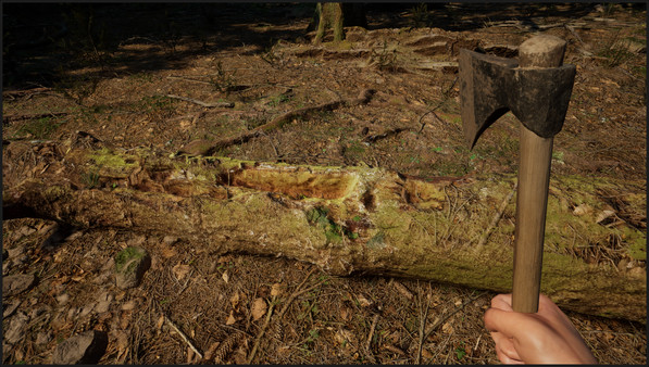 常青 山区生活模拟器|官方中文|V1.1.2|解压即撸|_5