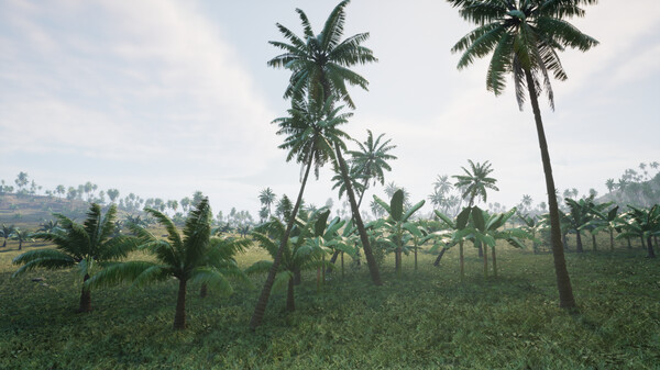 海盗之旅 Pirates Journey|官方中文|解压即撸|_12