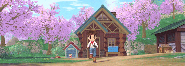 牧场物语 Welcome!美丽人生|中文|V1.0.1+全DLC+预购奖励+季票|解压即撸|_11