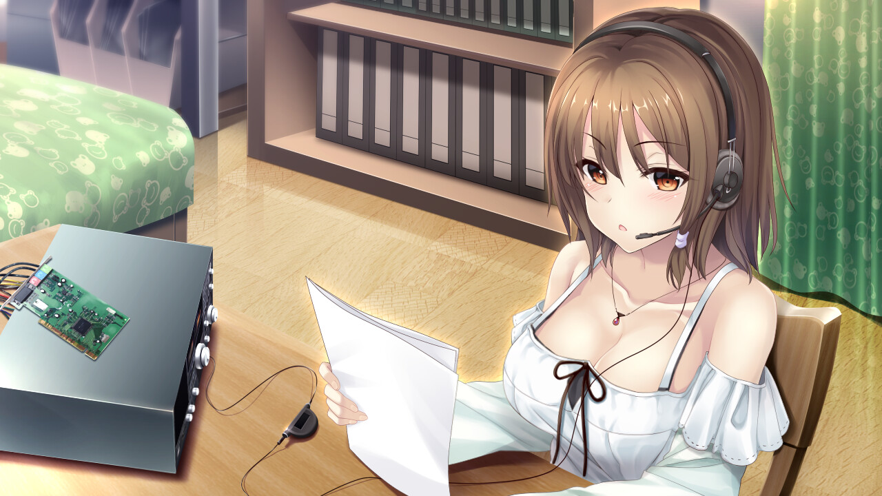 未来广播与人工鸽|官方中文|Build.10752115+全DLC+追加特典|解压即撸|_6