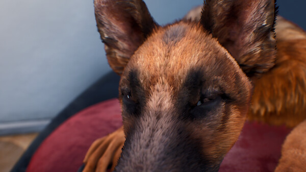 狗狗向上 Doggy Up!|官方中文|本体1.1升补|NSZ|原版|_1