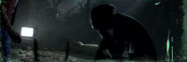 弗兰克·斯通的阴影|豪华中文|Build.15770319+中文语音+全DLC|解压即撸|_4