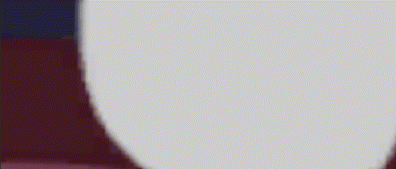 拥抱幸存者|官方中文|解压即撸|_8