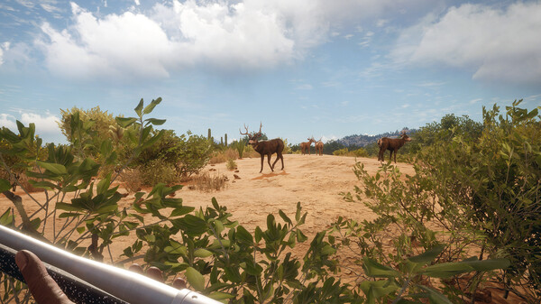 猎人 荒野的召唤|官方中文|Build.18808598-荒野猎魂-血誓荒原+全DLC|解压即撸|_7