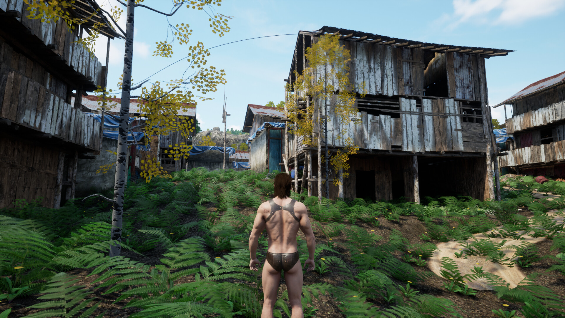 峰哥亡命天涯|官方中文|V230512+全DLC|解压即撸|_2