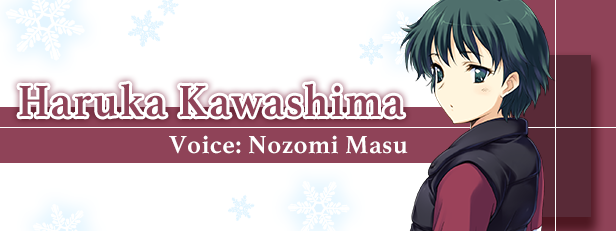 白色相簿 編綴的冬日回憶|官方中文|V1.0.1-冷暖相守+全DLC|解压即撸|_8