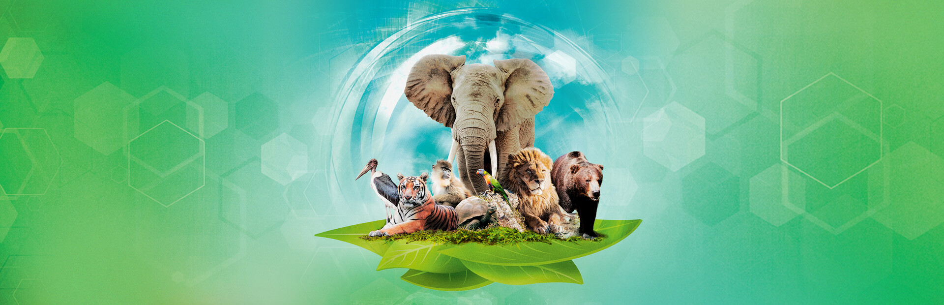 方舟动物园|官方中文|Build.18945172-同屏多人-桌游|解压即撸|_2