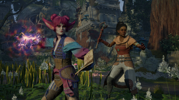 宣誓 Avowed|豪华中文|Build.20290647+预购特典+高级版DLC+全DLC+季票|解压即撸|_11