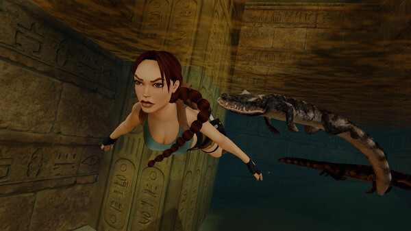古墓丽影 4-6 复刻版 Tomb Raider IV-VI Remastered|官方中文|本体+1.0.4升补|NSZ|原版|_3
