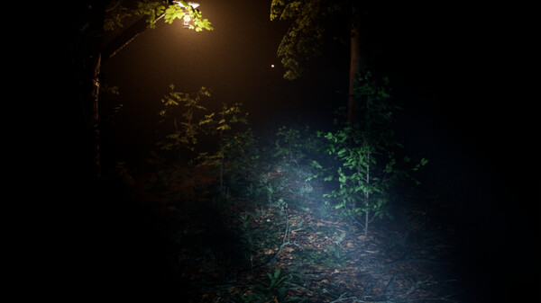 考试 无声的呼唤 Exanimum: The Silent Call|官方中文|解压即撸|_5