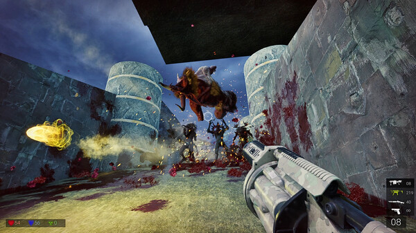 血杀 BLOODKILL|官方中文|解压即撸|_15