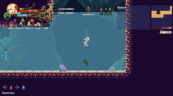 魔法使莉莉 魔法少女的奇境冒险 Witchroid Vania|官方中文|本体+1.05升补|NSZ|原版|_3