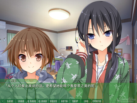 君羽 WANTING WINGS|官方中文|V2.0|解压即撸|_6