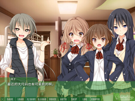 君羽 WANTING WINGS|官方中文|V2.0|解压即撸|_4