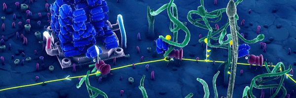 蚁托邦 Microtopia |官方中文|Build.20005121|解压即撸|_9