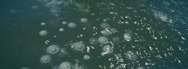 克苏鲁的信徒|官方中文|Build.20143208+全DLC|解压即撸|_34