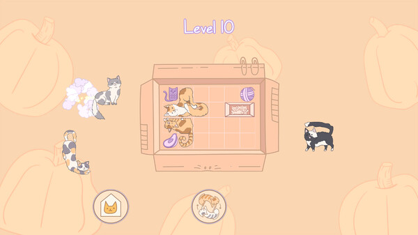 盒中猫 Cats in Boxes|官方中文|NSZ|原版|_2