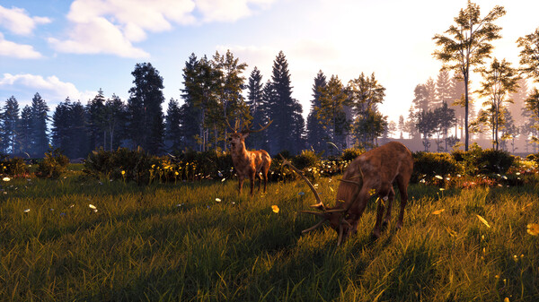 风暴 深厚友谊的开始 重制版|官方中文|解压即撸|_3