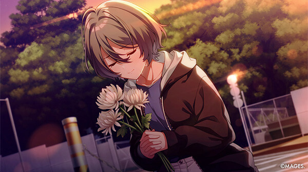 星穹之下 数字版 SINce Memories|官方中文|解压即撸|_1