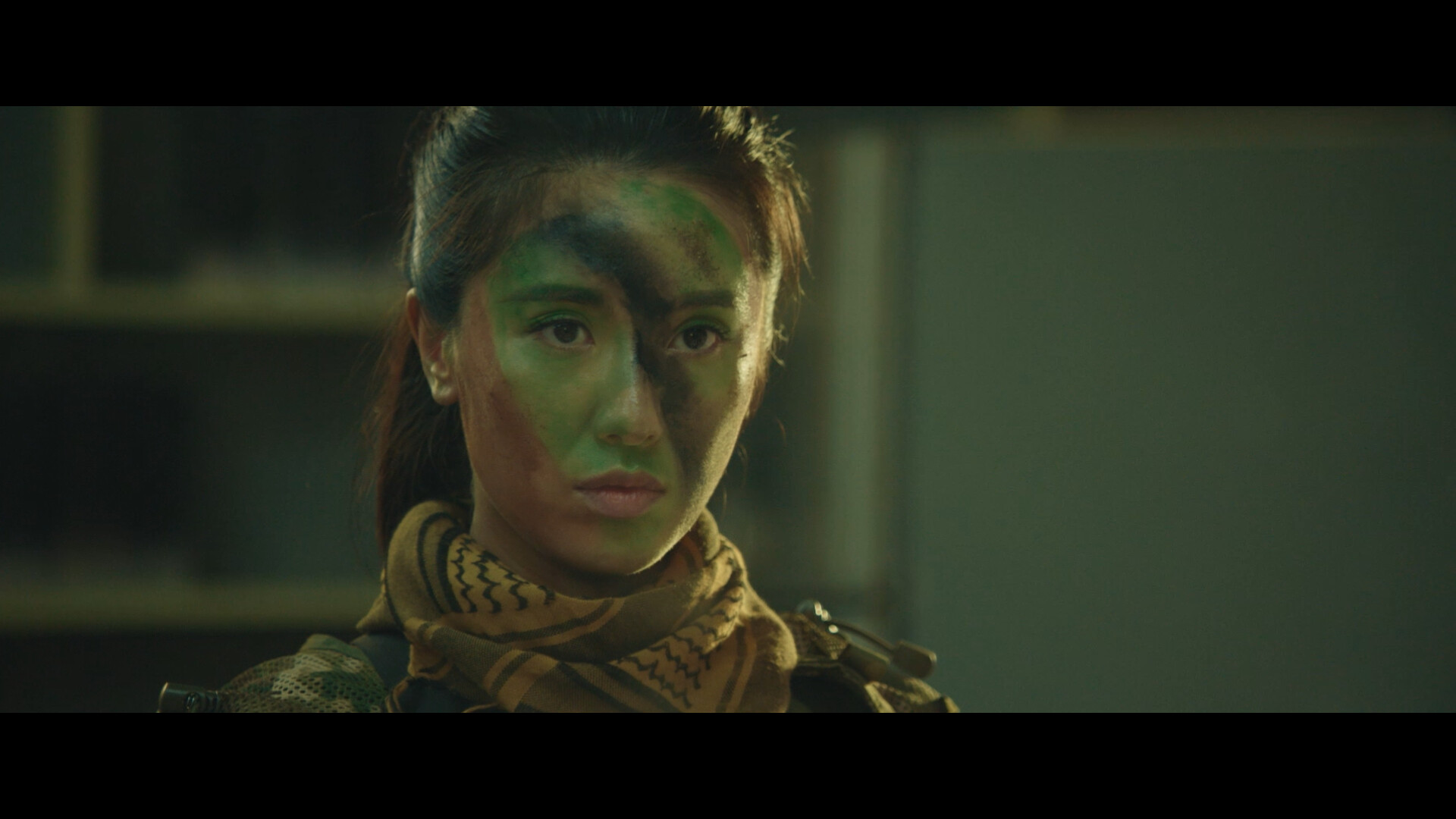 返杀 Back Fire|中字-国语|Build.14831449-剧情视频跳过功能+全DLC|解压即撸|_2