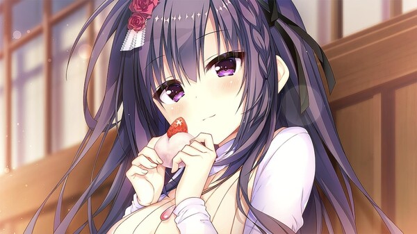 天选庶民的真命之选|官方中文|NSP|原版|_2