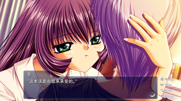 青空 AIR|官方中文|本体+2.0.1升补|NSZ|原版|_4