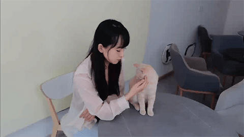 心动满屋|中字-国语|Build.15083690-爱恋无尽-情愫暗涌+全DLC|解压即撸|_19