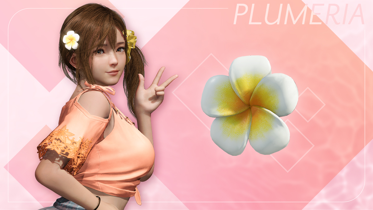 死或生:维纳斯璀璨假期|豪华中文|1.05-Fix+全DLC+预购特典|解压即撸|_3