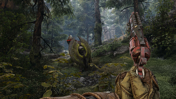 女巫之火|豪华汉化|Build.19655264-漆影逐刃-裂巫焚锋+全DLC|解压即撸|_11