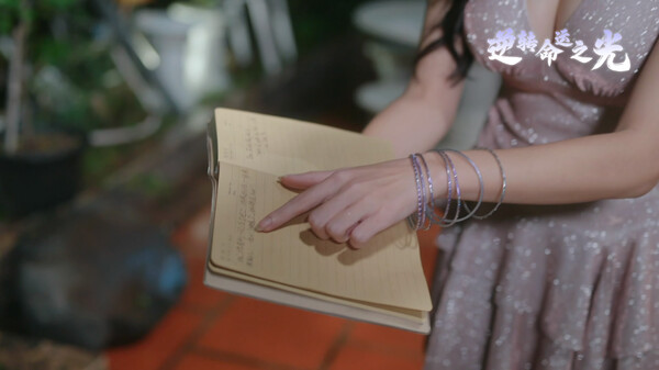 逆转命运之光|官方中文|Build.18516905+全DLC|解压即撸|_7