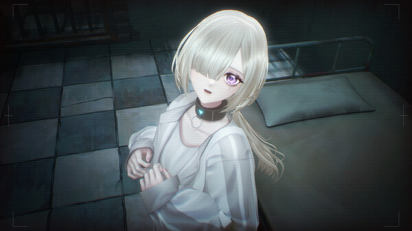 苏菲亚的谎言与代价|豪华中文|Build.19064136-封心碎片-黑月誓言+全DLC|解压即撸|_4