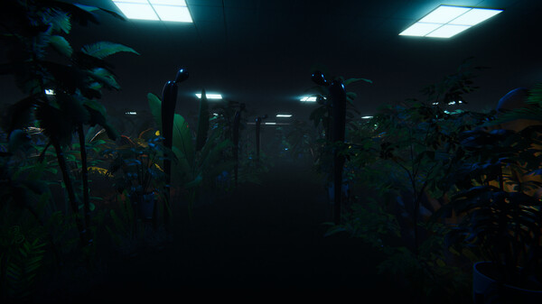 迷雾之舟 Ship Of Mist|官方中文|解压即撸|_3