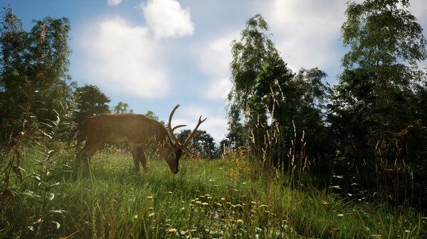 绝望禁区 DREADZONE|官方中文|Build.19596372|解压即撸|_4