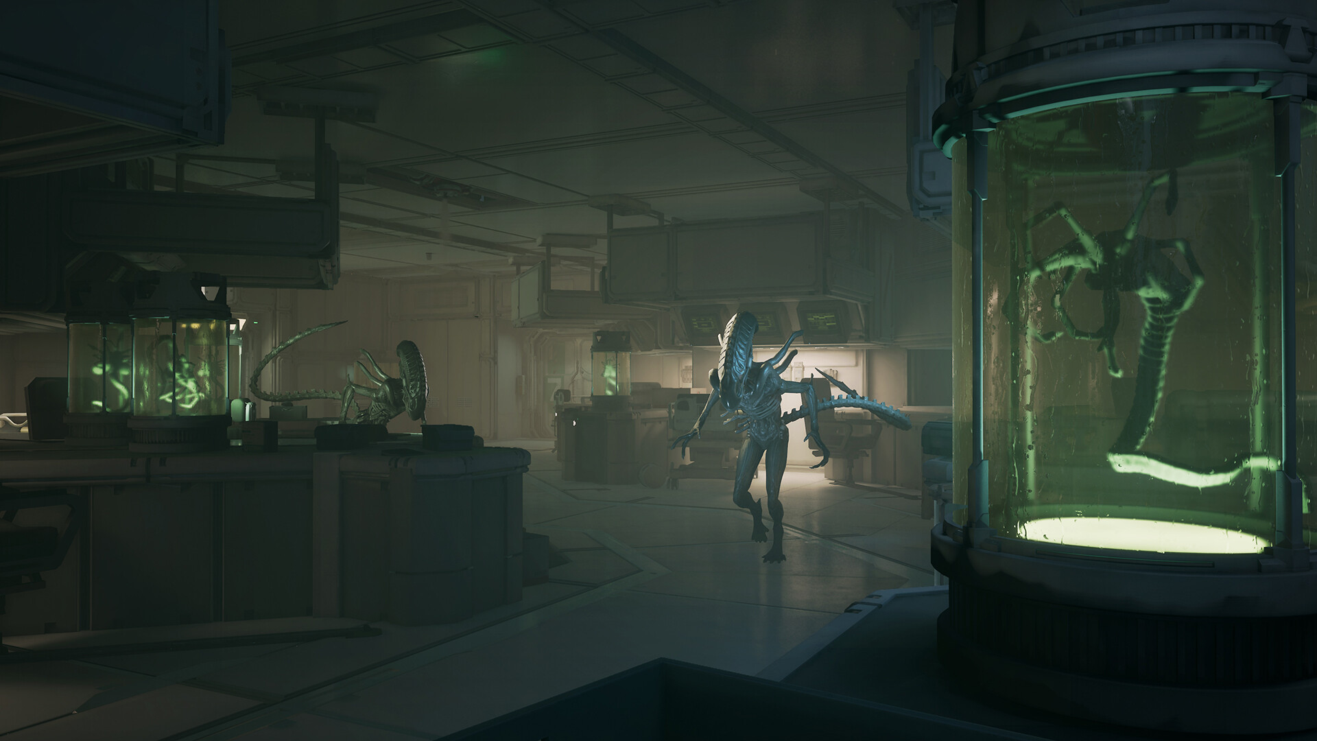 异形 盗贼入侵进化|豪华中文|Build.20292220+全DLC+预购奖励|解压即撸|_8