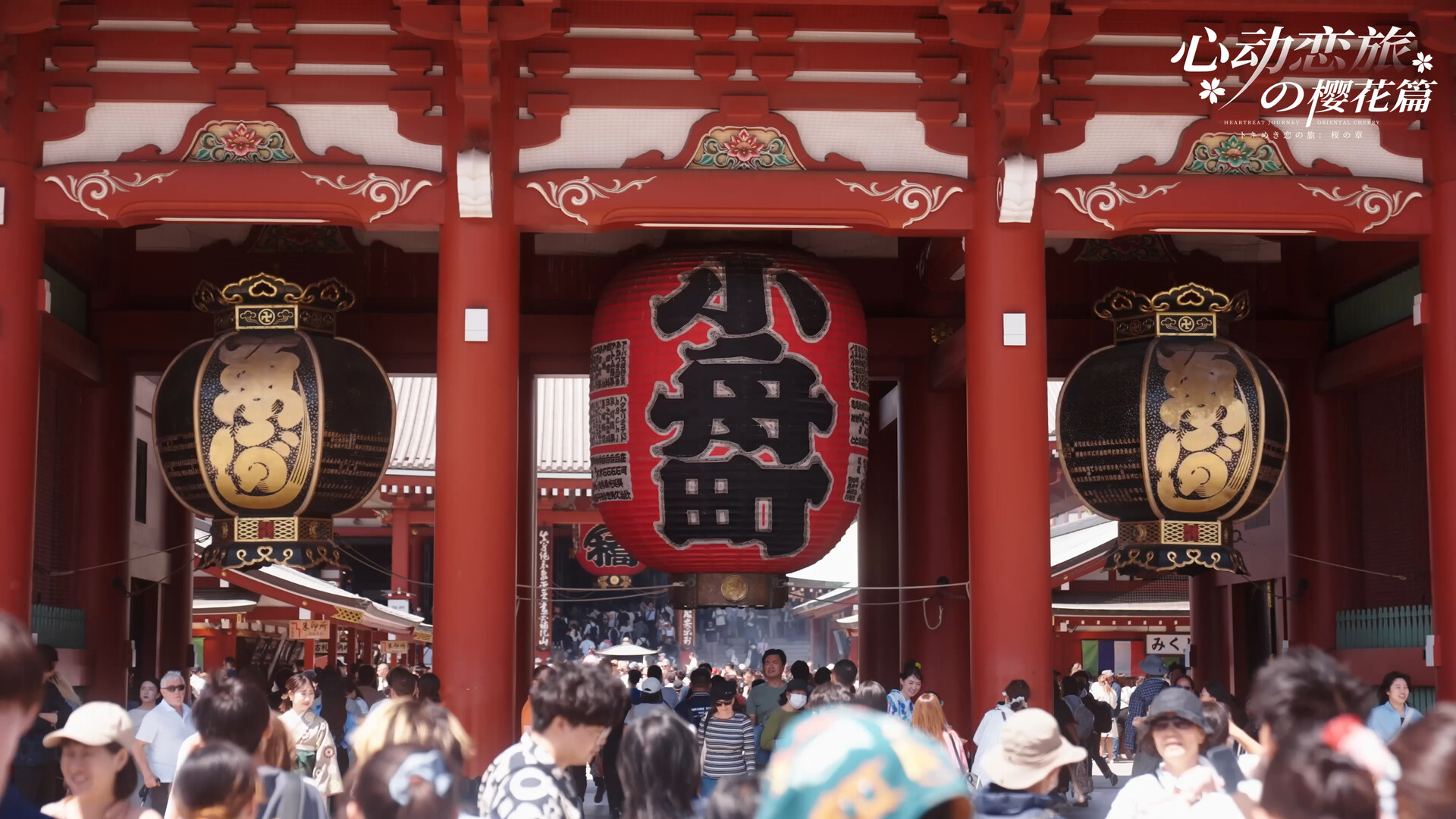 心动恋旅 樱花篇|豪华中文|Build.19963751-1.0.2+全DLC|解压即撸|_12