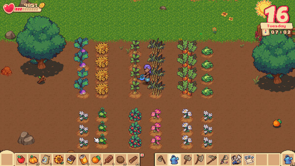 橙子季节 Orange Season|官方中文|Build.16485605-模拟经营|解压即撸|_1