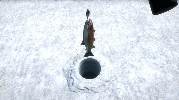 终极钓鱼模拟器|官方中文|V2.3.23.12+佛罗里DLC+全DLC|解压即撸|_7