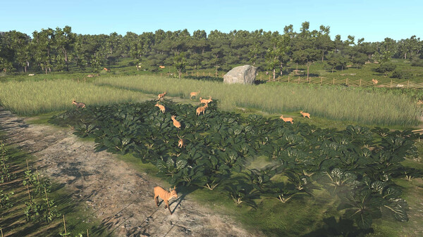 古城 Ancient Cities|官方中文|Build.17174012|解压即撸|_10