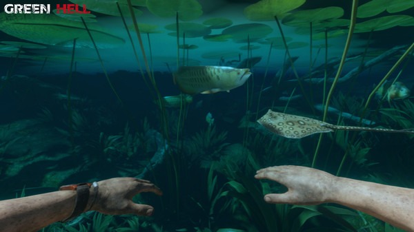 丛林地狱|中字-国语|Build.19513569-重要更新-危机四起-全新建筑+全DLC|解压即撸|_6