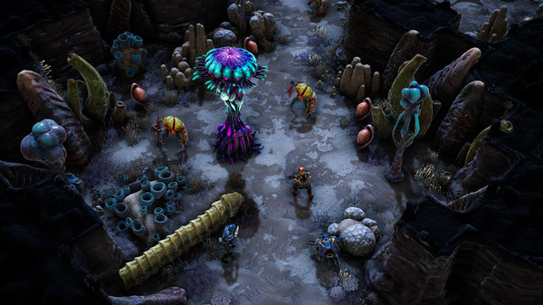 凤凰点|官方中文|V1.20.1|解压即撸|_8