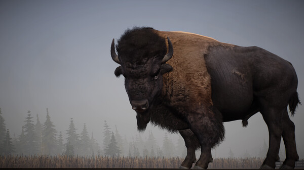 阿拉斯加卡车司机|官方中文|Build.17545121+全DLC|解压即撸|_12