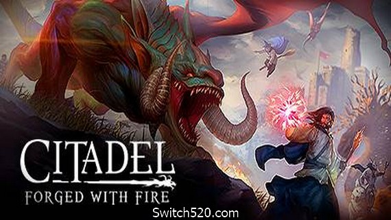 堡垒:火焰之炼/Citadel: Forged with Fire_0