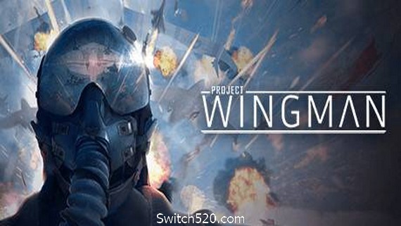 僚机计划/Project Wingman_0