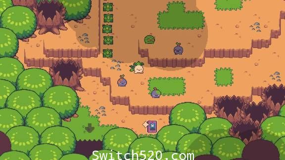 大头菜小子偷税记|官方中文|本体+1.1.3F1|NSZ|原版|_3